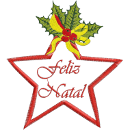 Matriz de Bordado Estrela de Natal 2